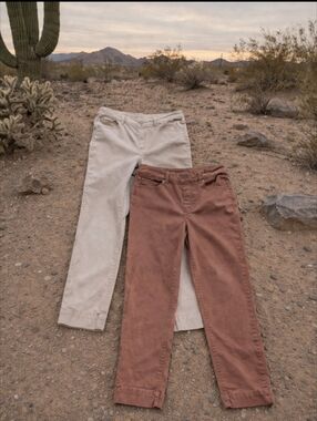 2️⃣ TRIBAL Pairs | Women's 10 | Ankle |  Copper & Beach